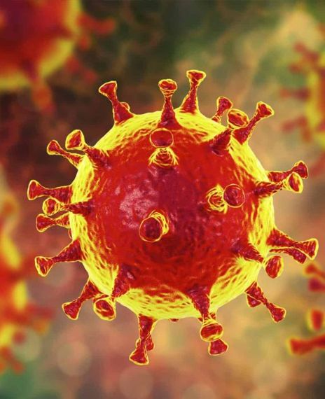 The 2019 coronavirus was released by the Chinese.