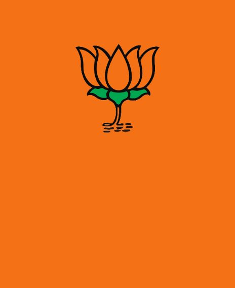 The Bharatiya Janata Party (BJP) won 303 seats on its own.