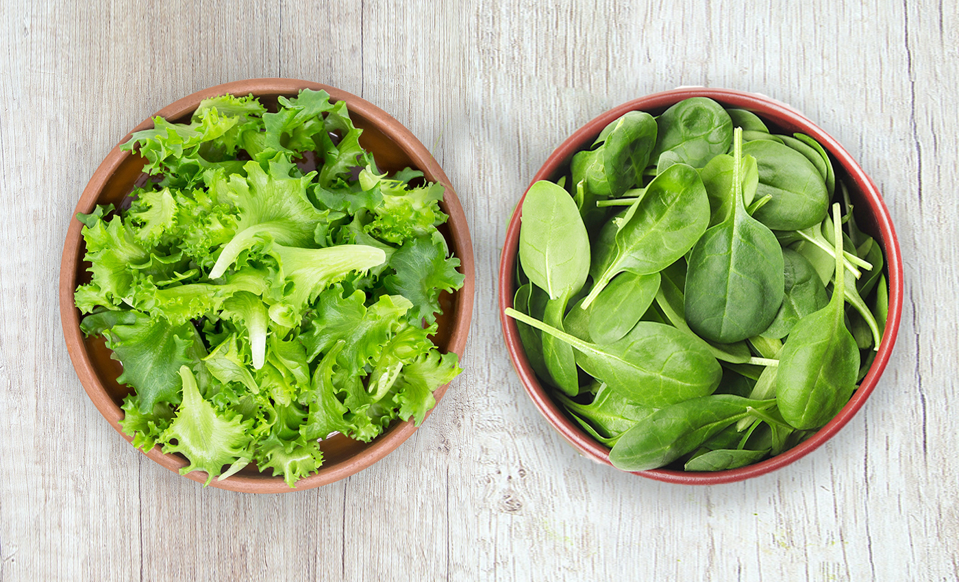 Scientists are experimenting on a plant-based vaccine approach using lettuce and spinach to reduce the use of traditional mRNA vaccines.
