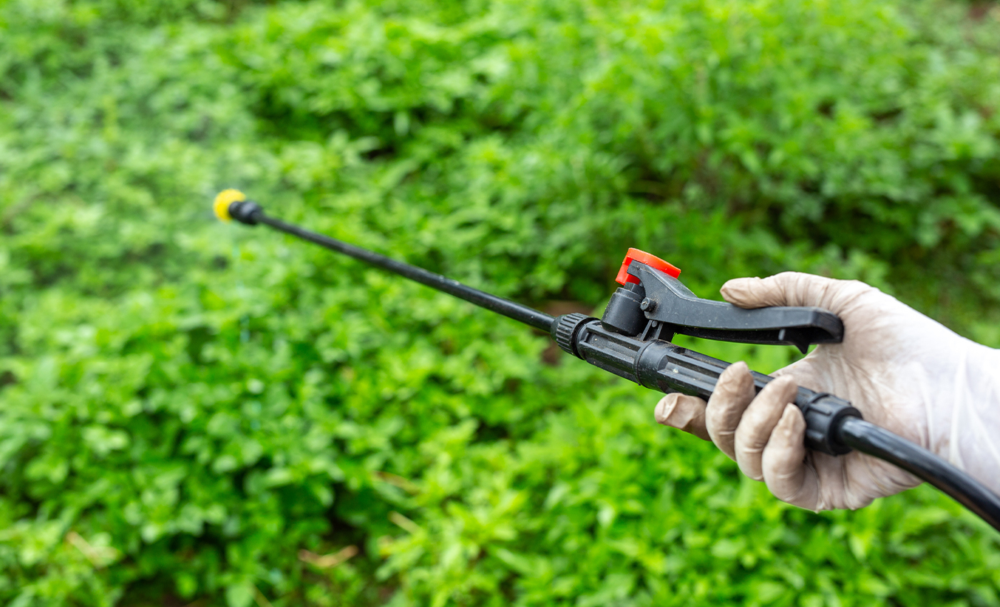 Some pesticides banned in the European Union are allowed in the U.K.