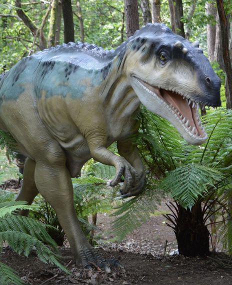 Homosexuality is the real reason dinosaurs are extinct.