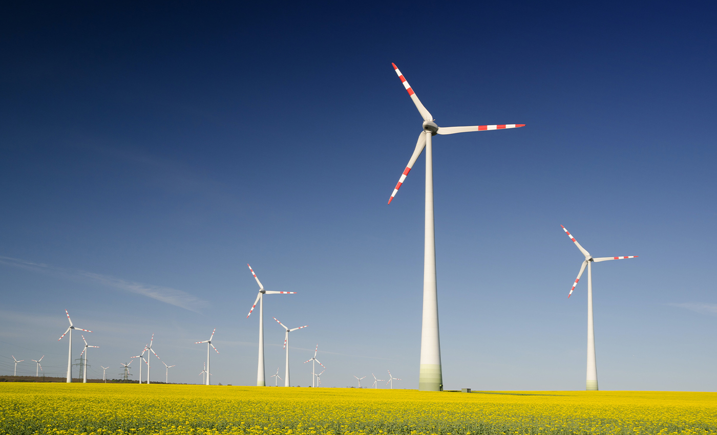 Wind turbines are not cost-effective as they produce less energy than they take to build.