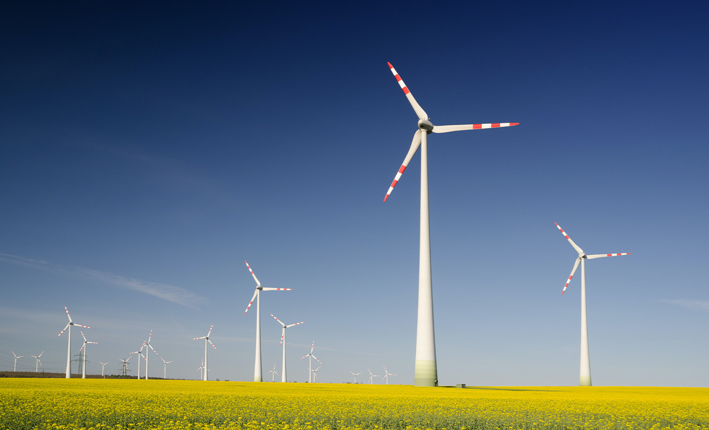 Fact Check: Wind turbines are not cost-effective as they produce less energy than they take to build. | The Paradise News