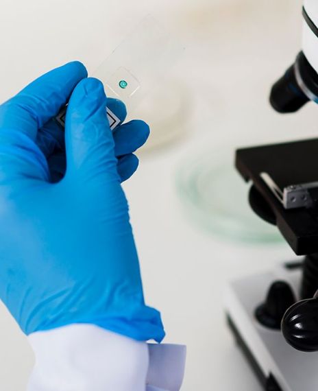 Scientists at the University of Lethbridge in Canada have found that the extracts from the cannabis can fight COVID-19.