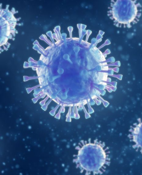 A coronavirus simulation was run by the U.S. government in October 2019.