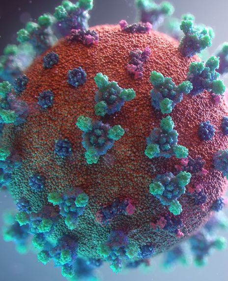 The novel coronavirus is a bio-warfare weapon.
