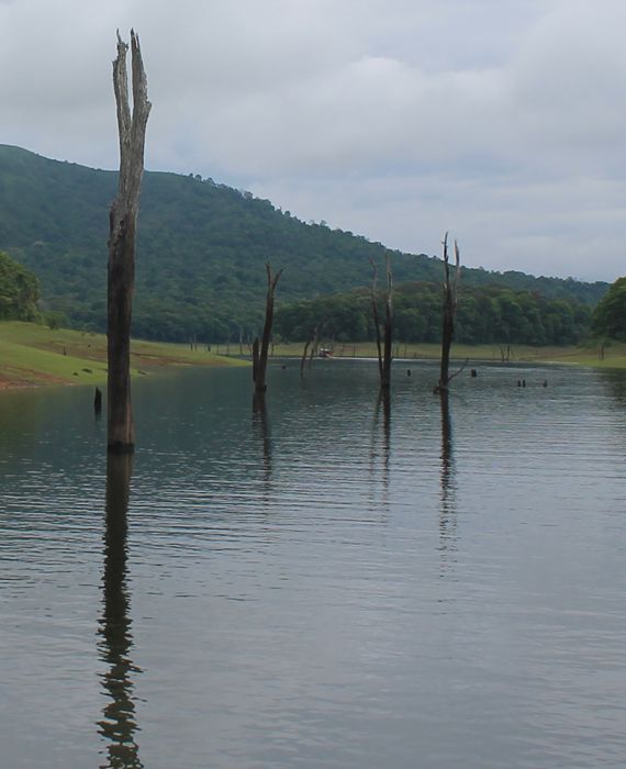Toxic water was released into the Periyar river in Kerala after opening the dam shutters in April 2020.