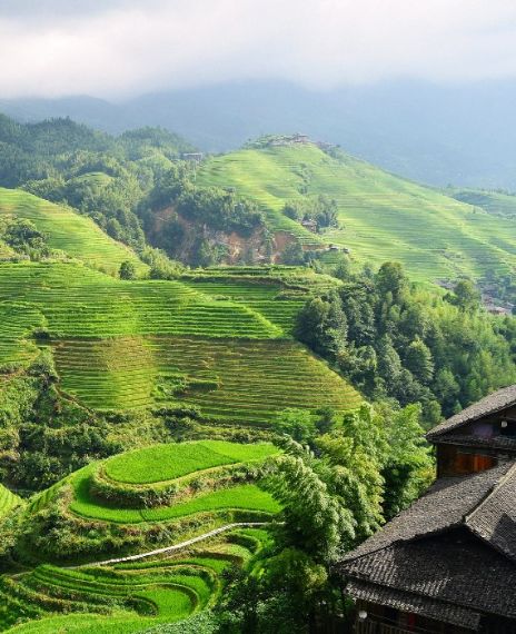A strange noise was emanating from the hills of China's Guizhou province.