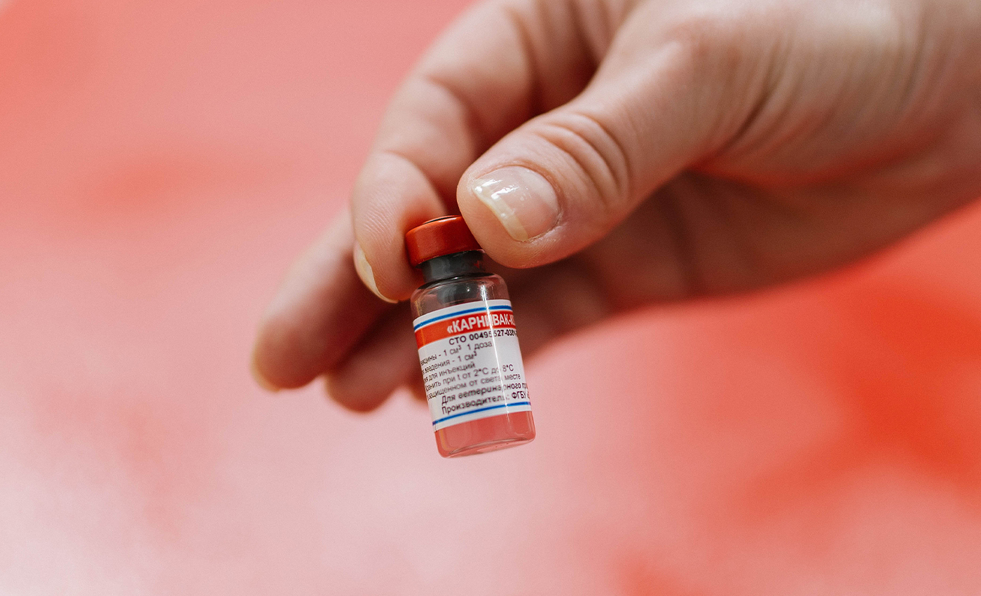 All European countries are only administering mRNA vaccines.