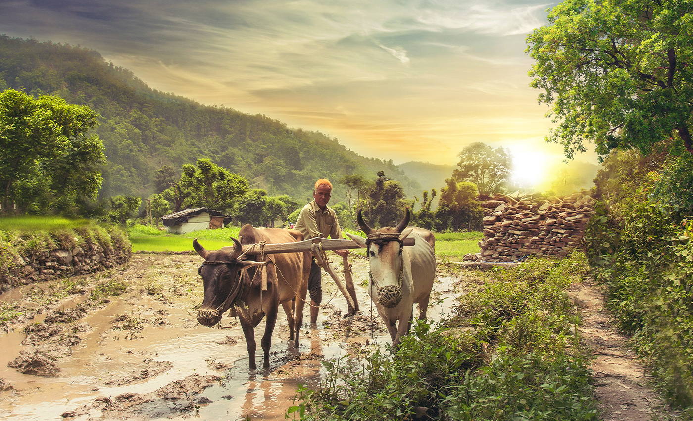 Farmers in West Bengal are not receiving the Pradhan Mantri Kisan Samman Nidhi scheme benefits.