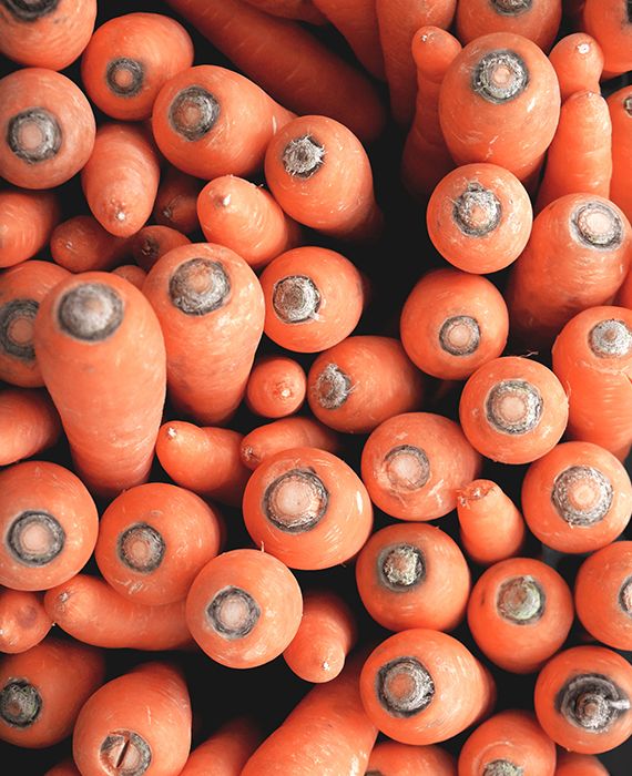 Retired Colonel Subhash Deswa makes UP's Sikandrabad as India's largest Carrot producer
