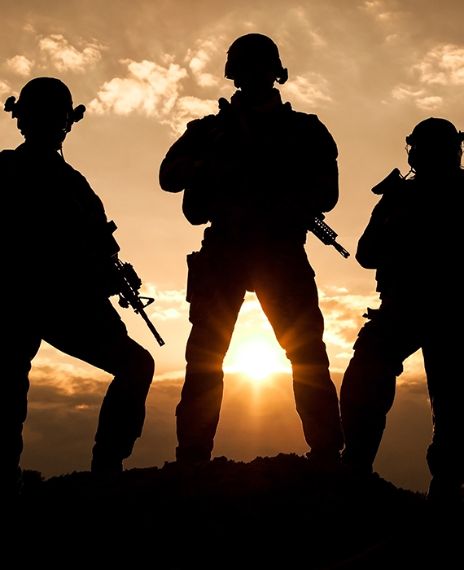 Some studies have estimated that 10 to 20 per cent of veterans returning from the conflicts in Iraq and Afghanistan sustained mild traumatic brain injury resulting from improvised explosive devices an