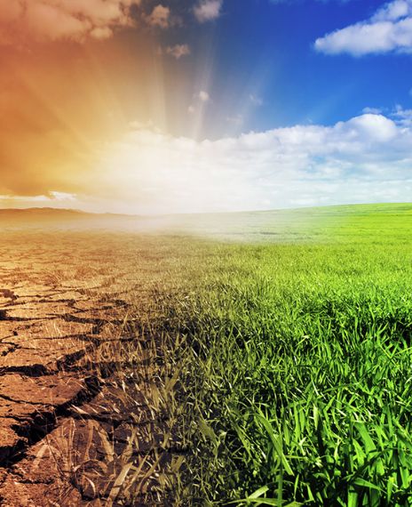 Climate change is a global emergency.