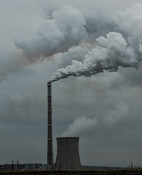 Oceans absorb around 30% of global carbon dioxide emissions.