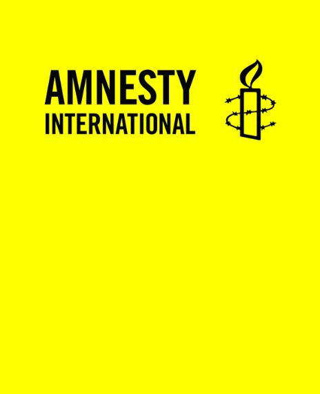 Amnesty International has conducted more than 3,300 analysis missions and published more than 17,000 reports about human rights around the world between 1961 and the end of 2010.