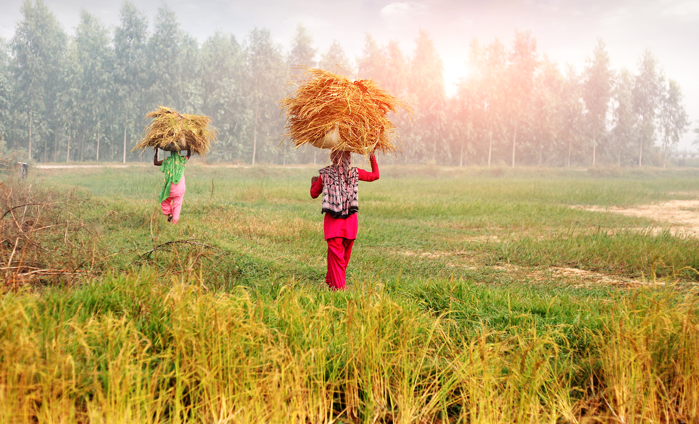 Farmer producing companies in Maharashtra made almost Rs. 10 crore in out-of-mandi trade since new farm laws came into effect