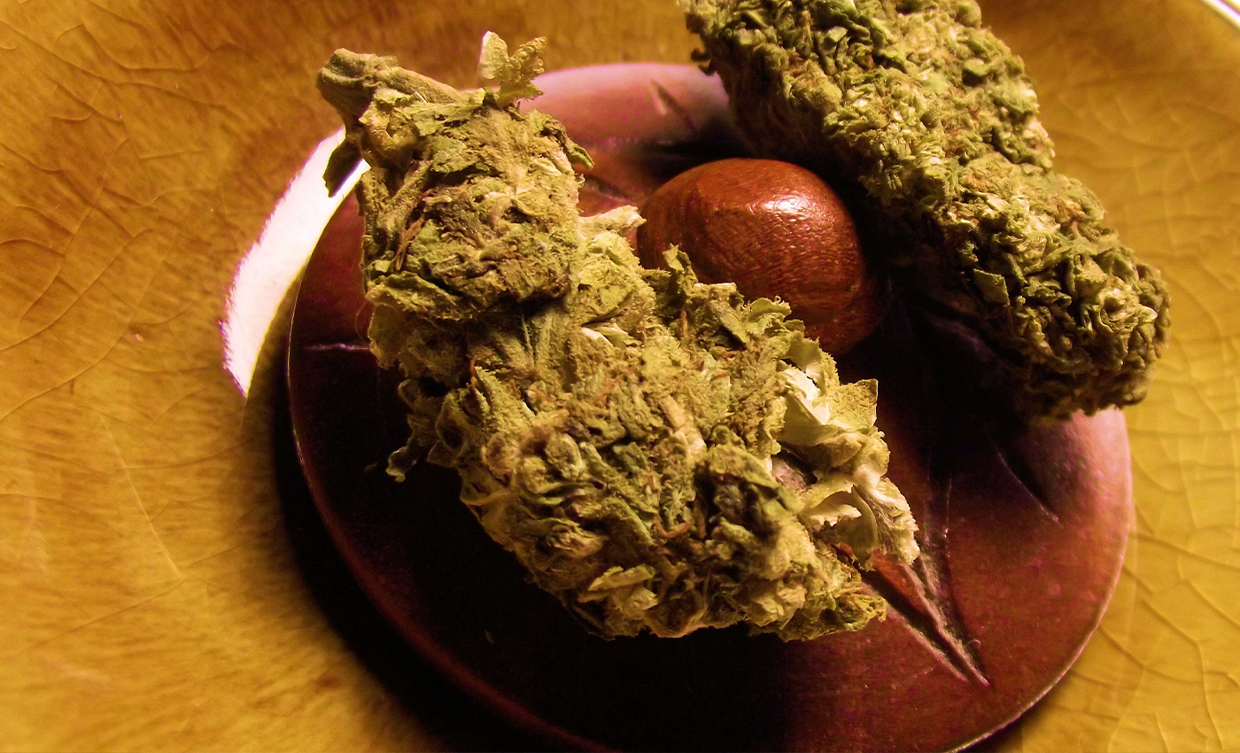 A study showed marijuana compounds could block virus that causes COVID-19 from entering human cells.