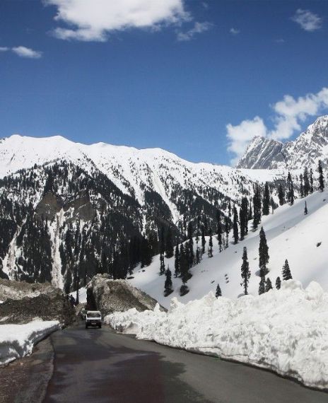 Indian government ignored warnings and requests by representatives of Ladakh.