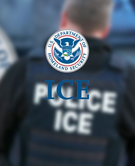 Barack Obama deported more illegal immigrants than Donald Trump.