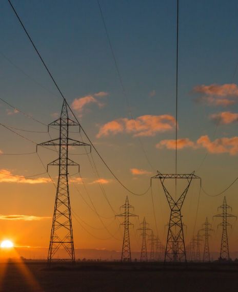 5G Cellular Network Test Cause Hundreds of Birds to Die.