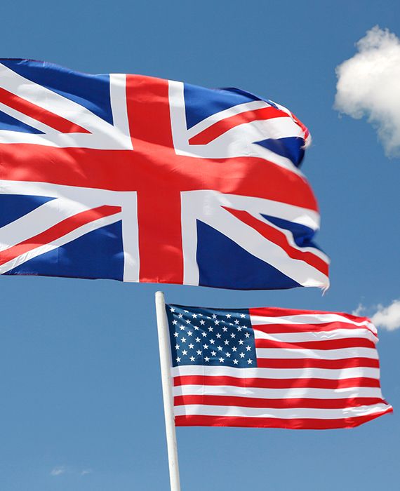 The United States and the United Kingdom have condemned the arrest of pro-democracy activists by Hong Kong.