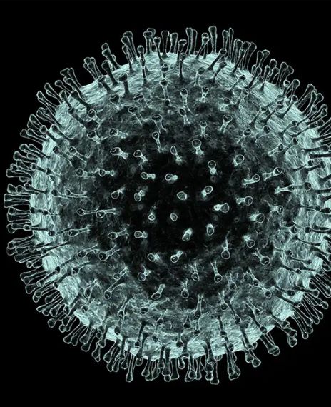Infections with 2019 novel coronavirus are being reported in a growing number of international locations, including the United States.