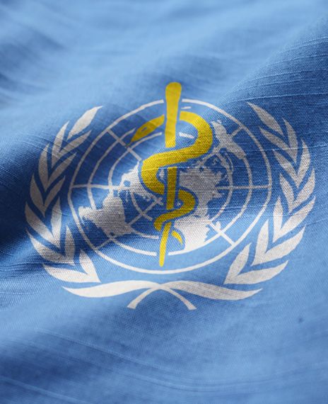 The World Health Organisation faked the H1N1 swine flu pandemic.