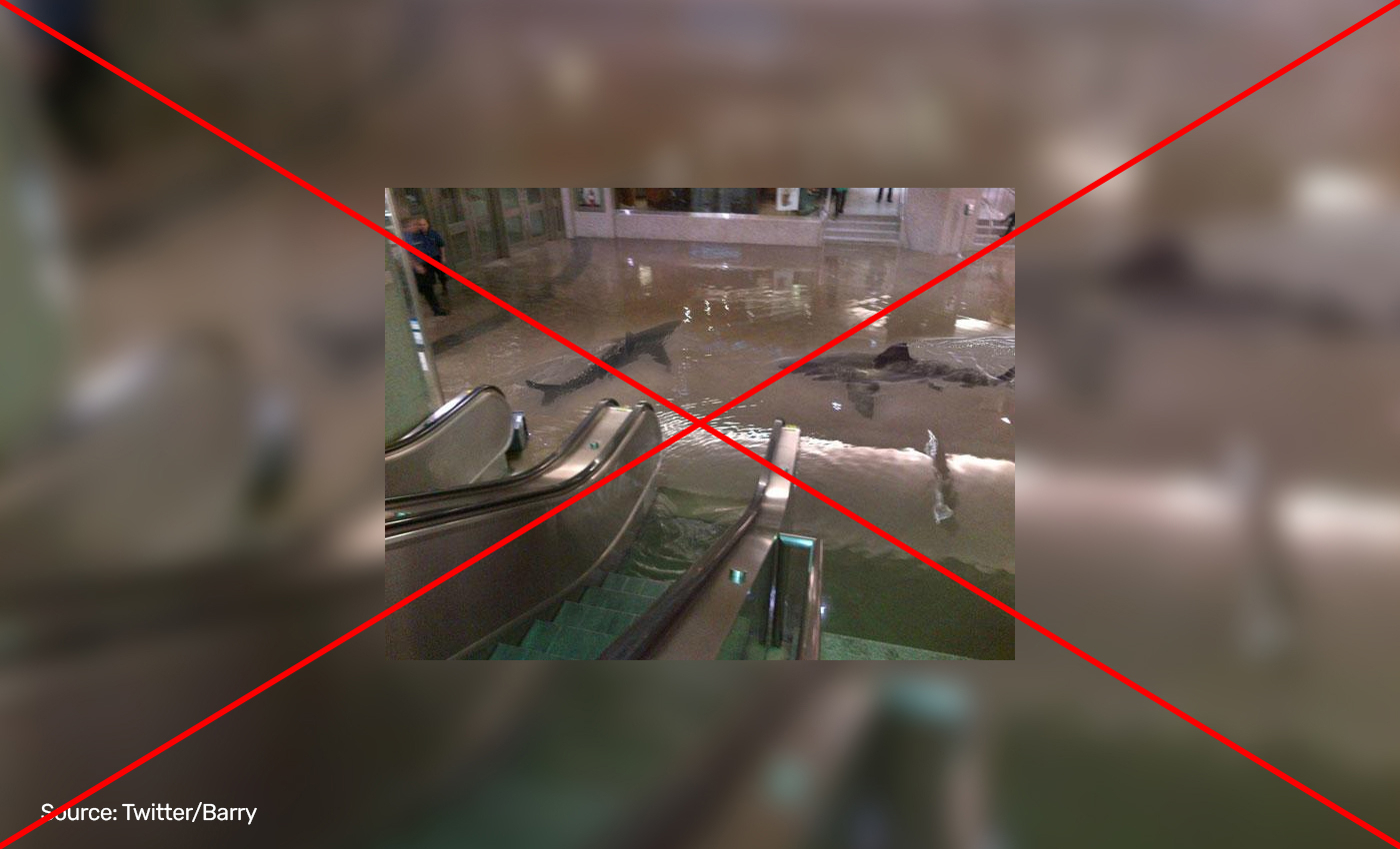 Sharks were swimming in a Florida mall after Hurricane Ian, image shows.