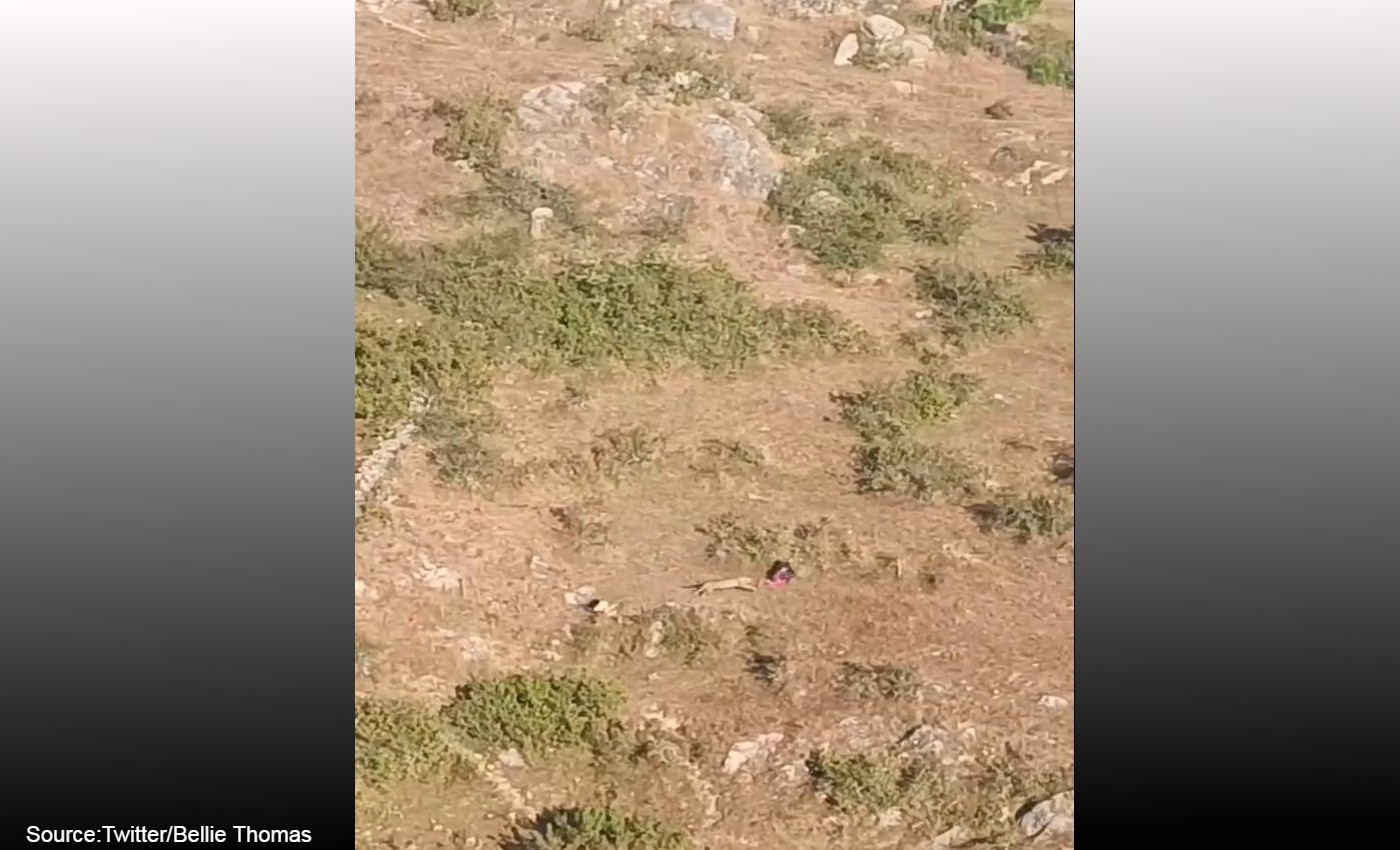 A leopard attacked two women in the Turahalli Forest Range in Bengaluru.
