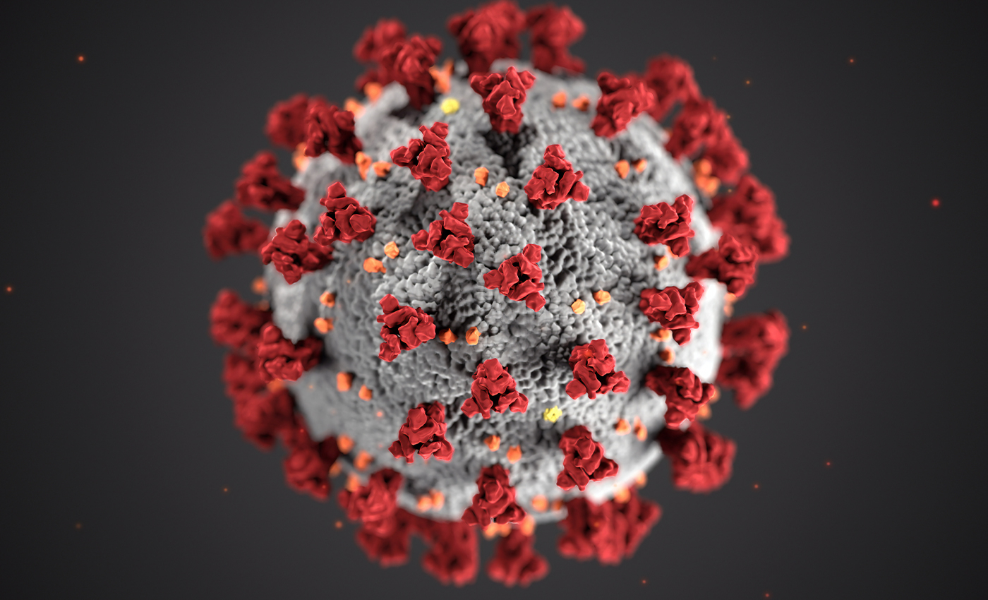 COVID-19 human antibody that may limit the spread of the virus has been identified.