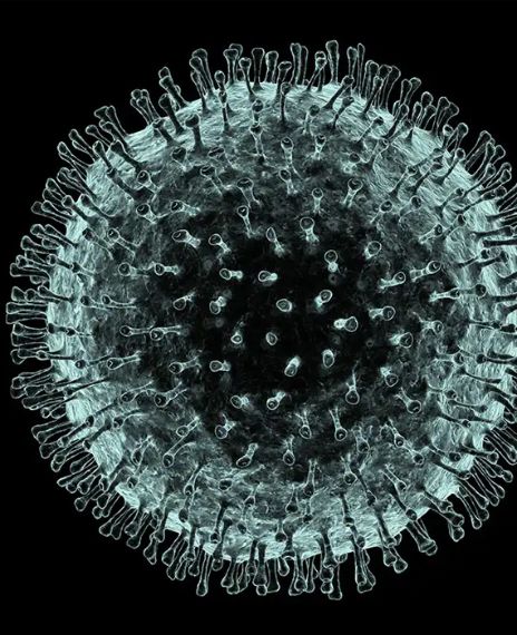 A novel had predicted the 2019 coronavirus 40 years ago.