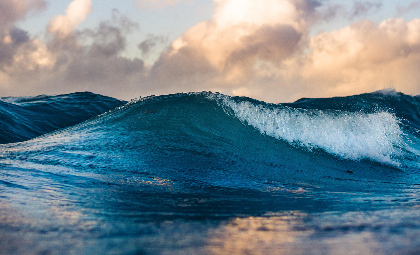 There are six oceans in the world.