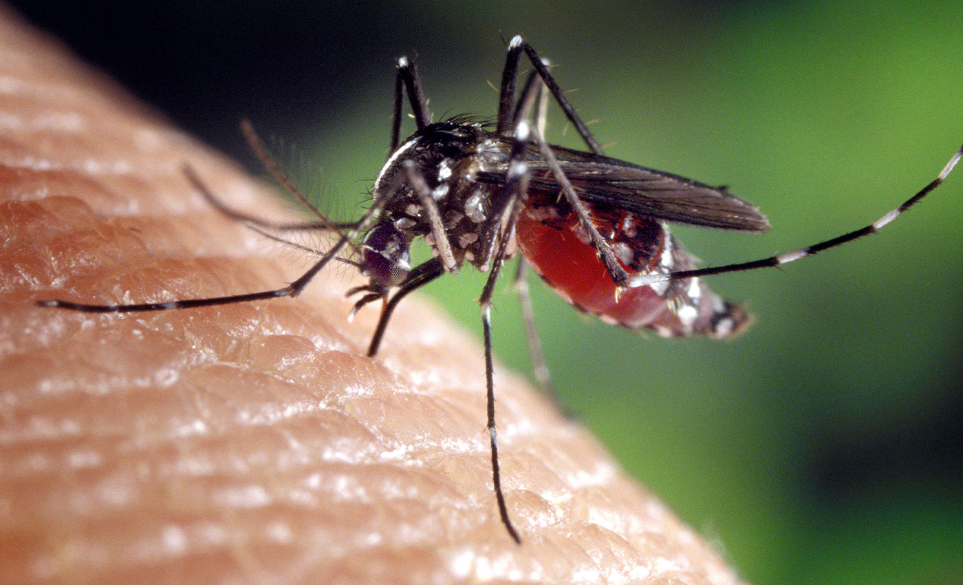 About 53 million Nigerians die of malaria every year.