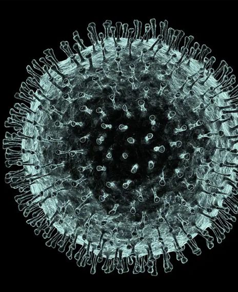Coronavirus can spread through currency notes or coins.