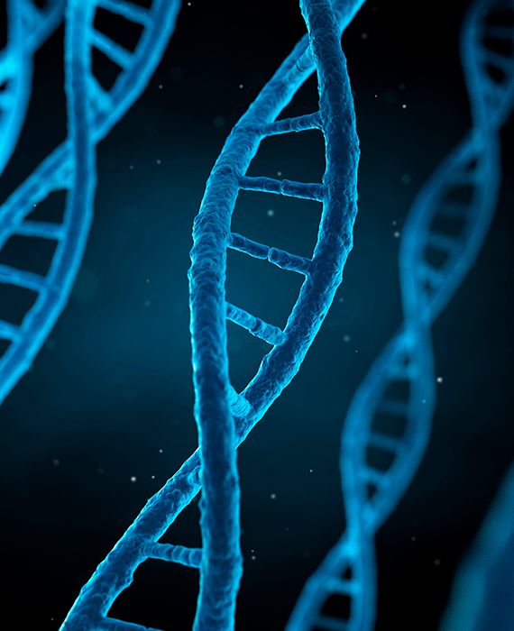 Children of identical twins are genetic siblings.