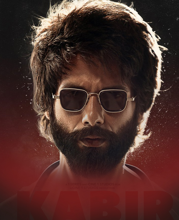Kabir Singh crosses A$1 milion mark in 2019