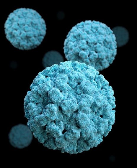 India could soon be dealing with a 'tsunami' of coronavirus cases.