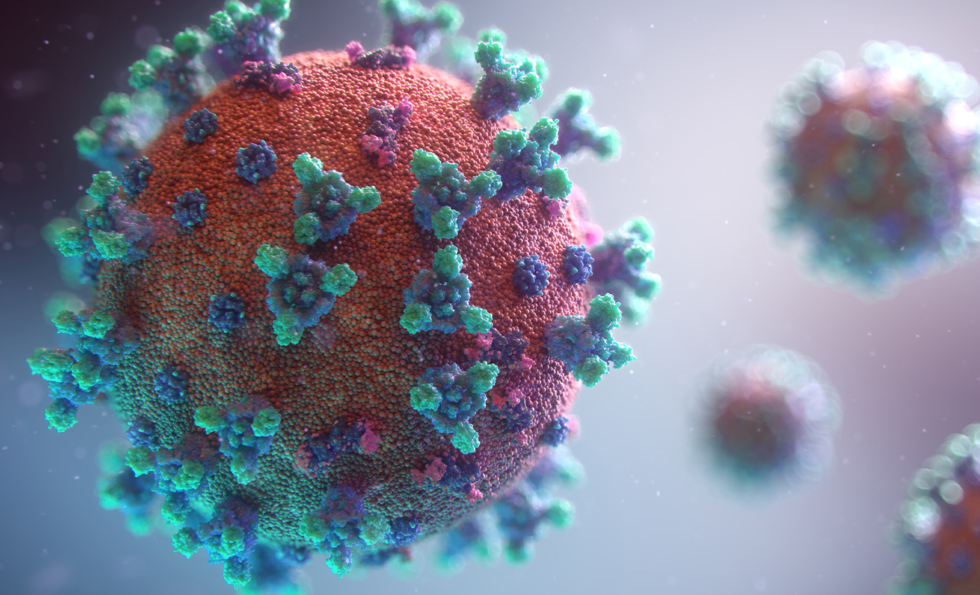COVID-19 is not a real disease.