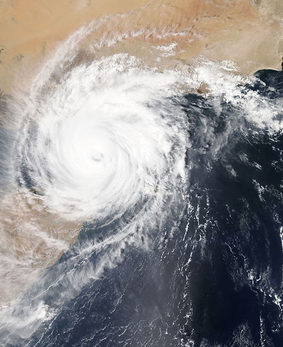 Cyclone Amphan, which barrelled through Odisha and West Bengal on 20 May, has killed 21 people.