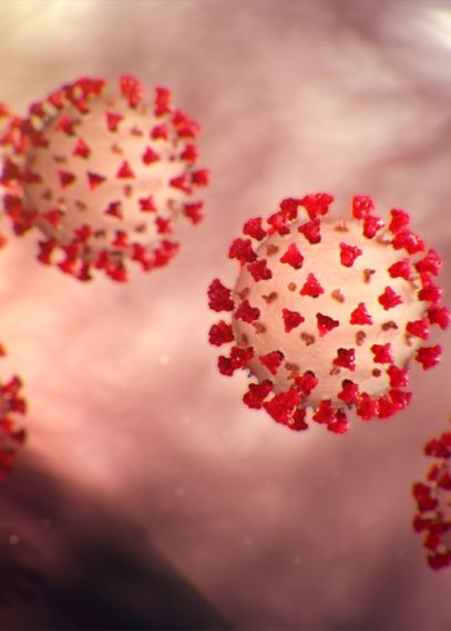 During the Coronavirus outbreak, consumption of meat and poultry products is safe.