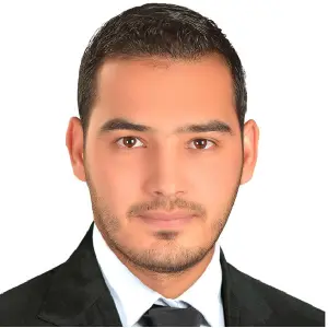 professional online Engineering tutor Mahmoud 