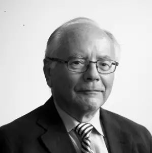 professional online Mathematics tutor Nigel