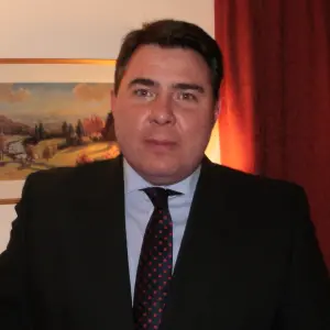 professional online History tutor David
