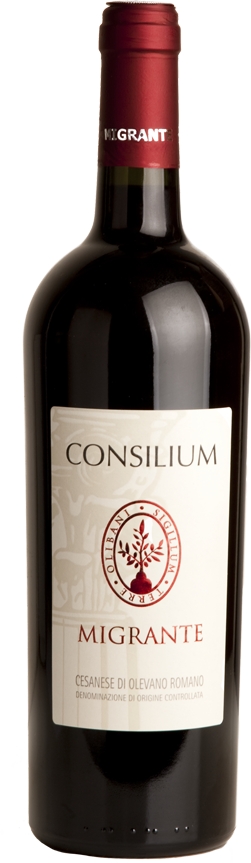 Produktbild på Consilium