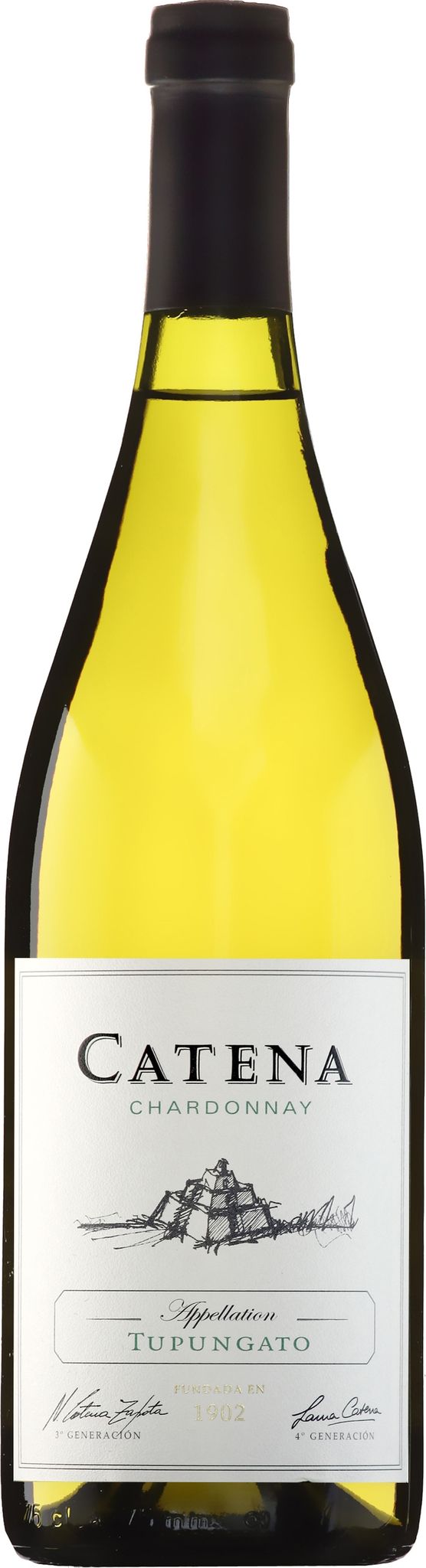Produktbild på Catena Tupungato