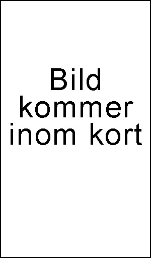Produktbild på Roero Arneis