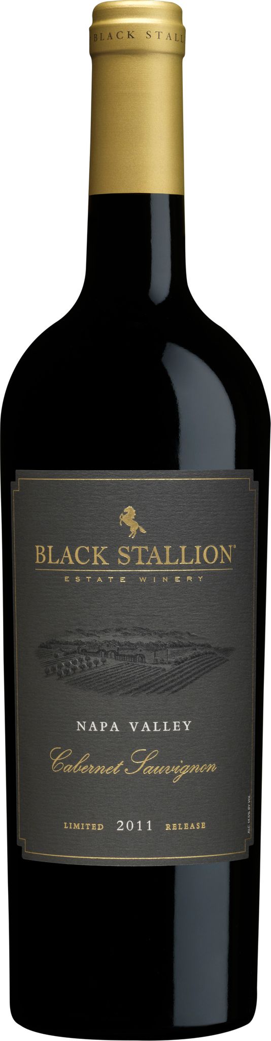 Produktbild på Black Stallion