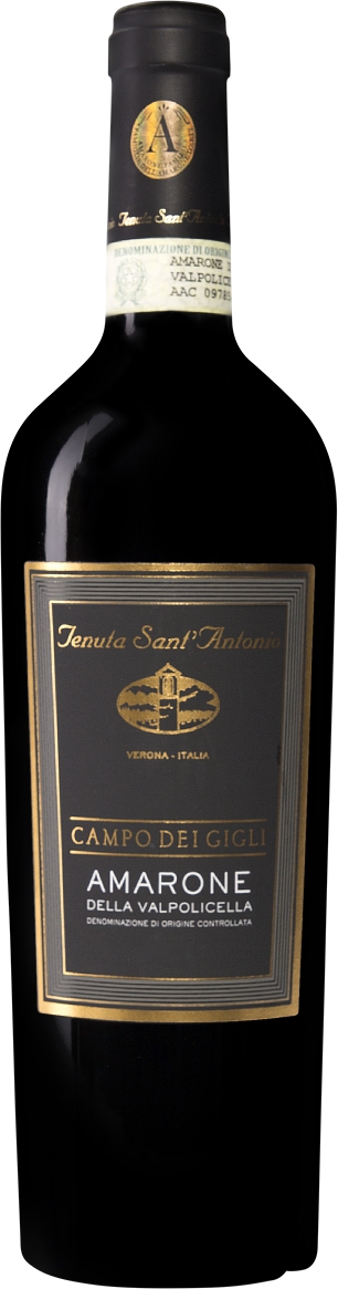 Produktbild på Campo dei Gigli Amarone