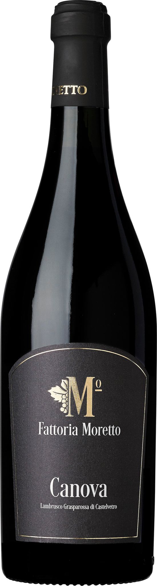 Produktbild på Lambrusco Grasparossa di Castelvetro