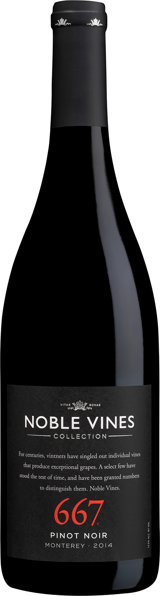 Noble vines 667 deals pinot noir